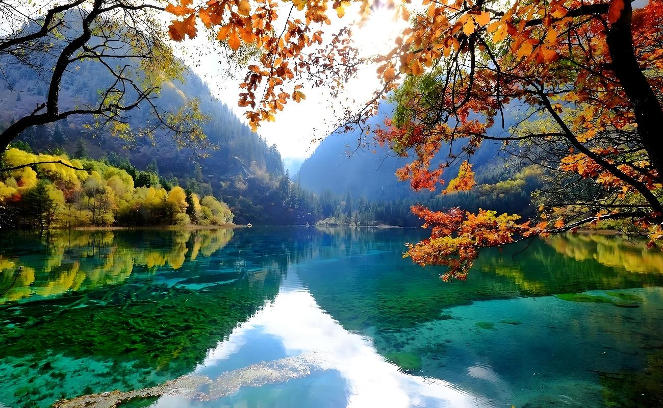 Discover Jiuzhaigou: China's Most Breathtaking Scenic Escape