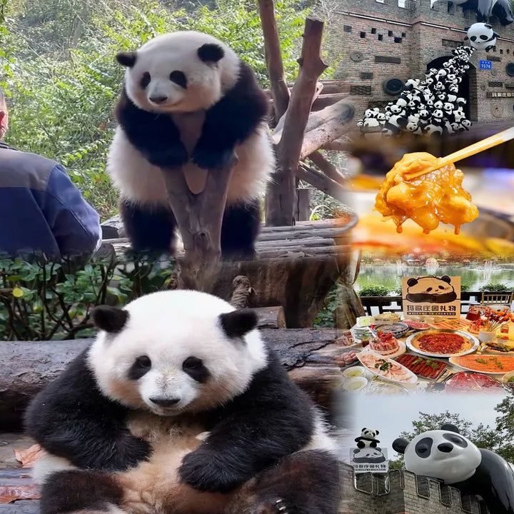 Amazing_Panda_Base_in_China