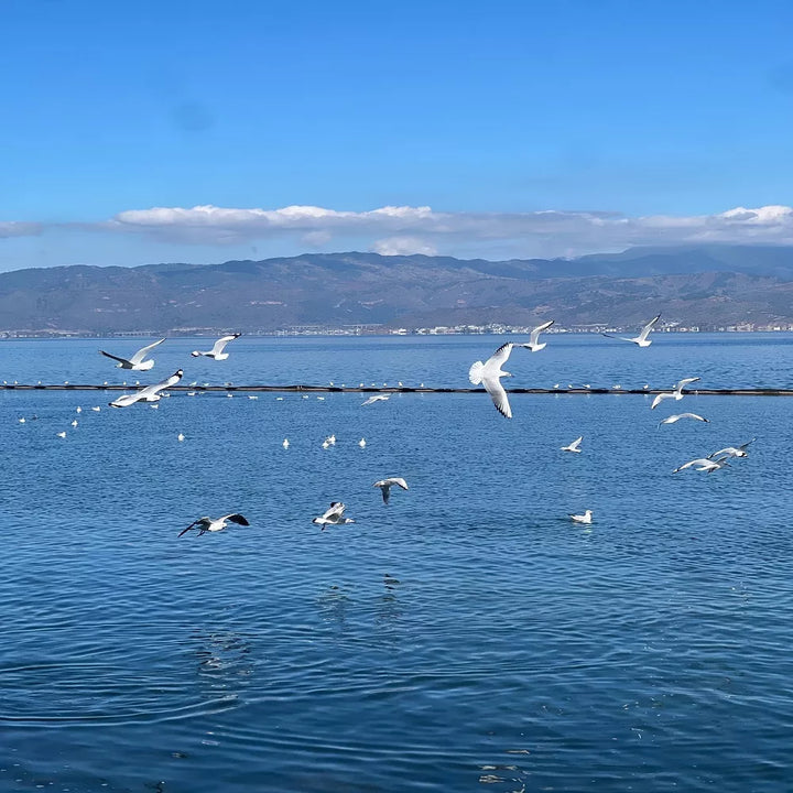 Beautiful Erhai_Lake_in_Dali