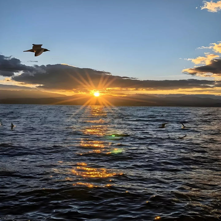 Beautiful_Sunset_Views_in_Erhai_Lake