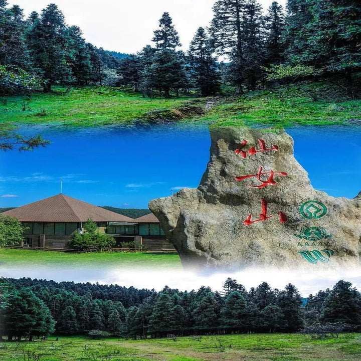 Beautiful_Views_in_Chongqing