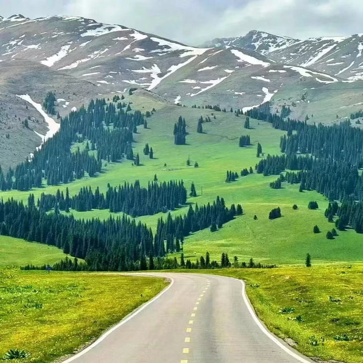 Highway_Views