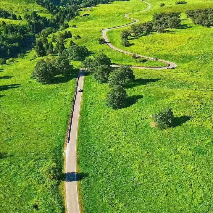 Highway_in_the_Grassland