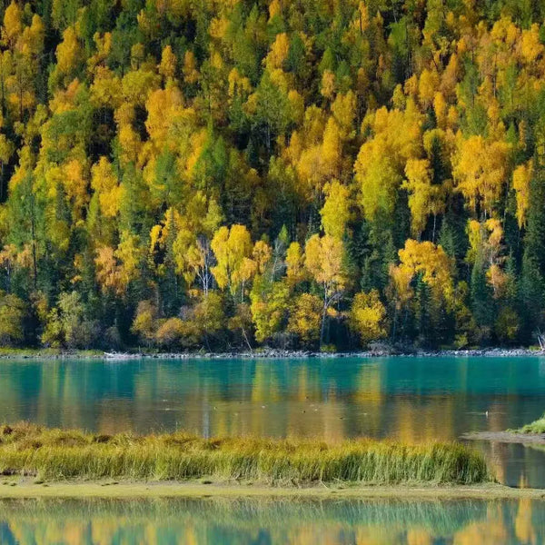 Ili