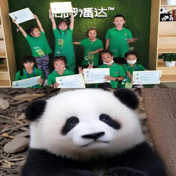 Kids_Certificates_in_Panda_Base