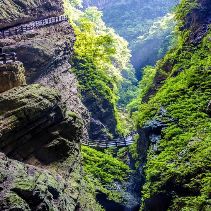 Landforms_in_Chongqing