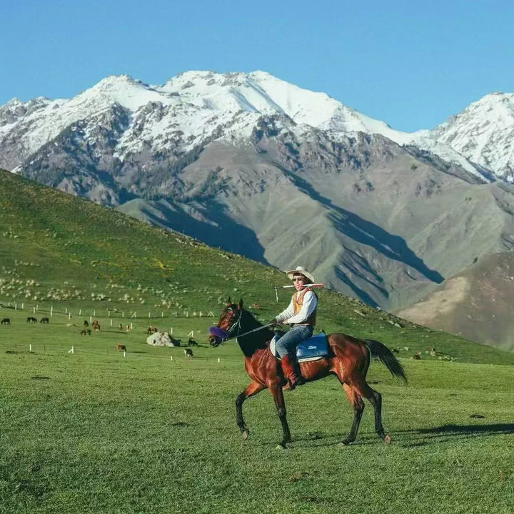 Nomadic_Experience_in_Ili