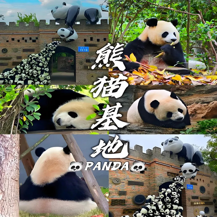 Panda_Base_Scenes_in Sichuan