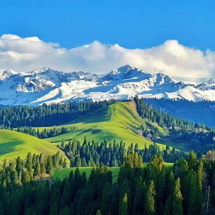 Snow-capped_mountains_in_Northern_Xinjiang