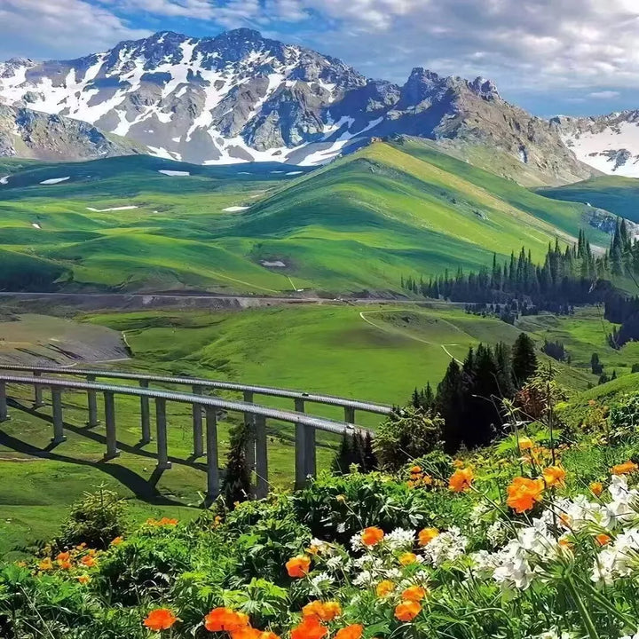 Special_Northern_Xinjiang