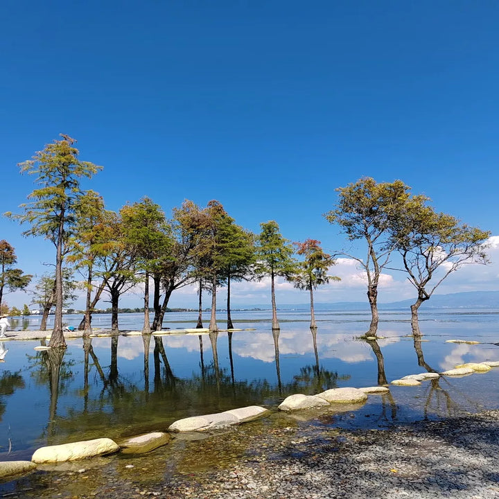 Stunning_Erhai_Lake_Views