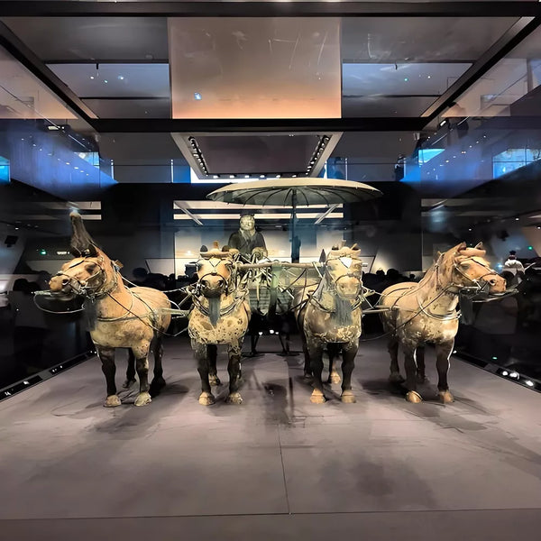 Terracotta_Army_of_Qin_Shi_Huang_in_Shaanxi