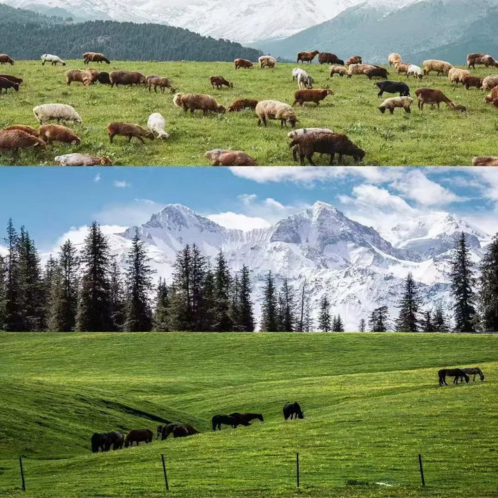 The_Wonderful_Scenery_in_Ili